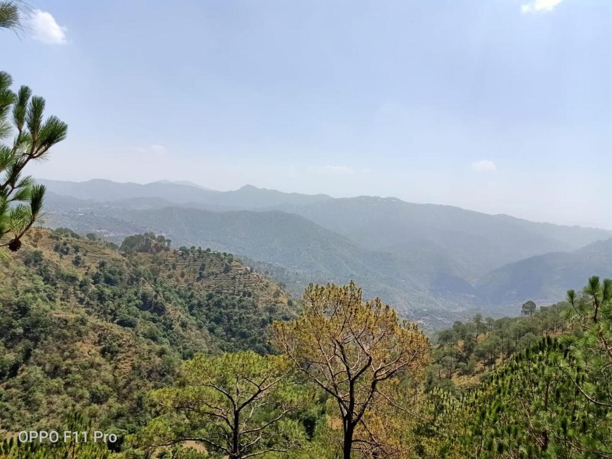 Pine Peak Villa Kasauli Eksteriør billede